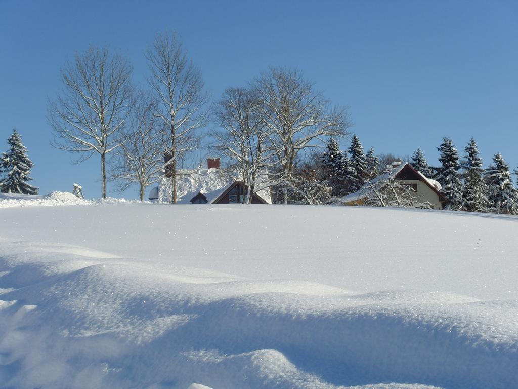Na Zvonici Guest House Paseky nad Jizerou Bagian luar foto