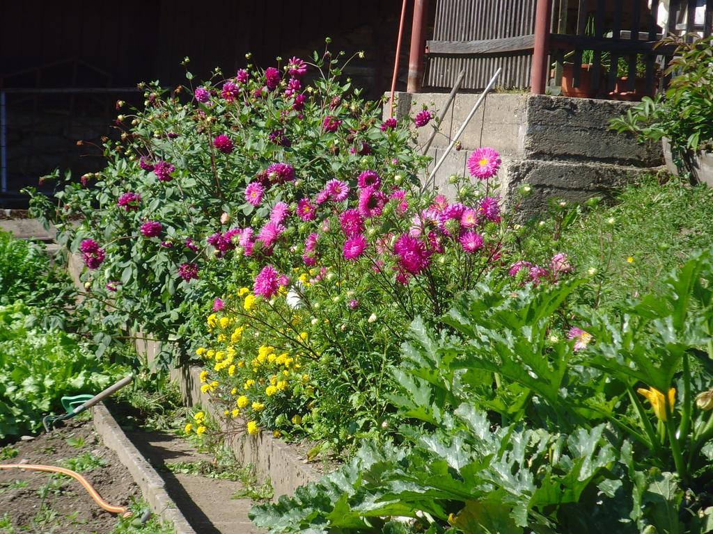 Na Zvonici Guest House Paseky nad Jizerou Bagian luar foto
