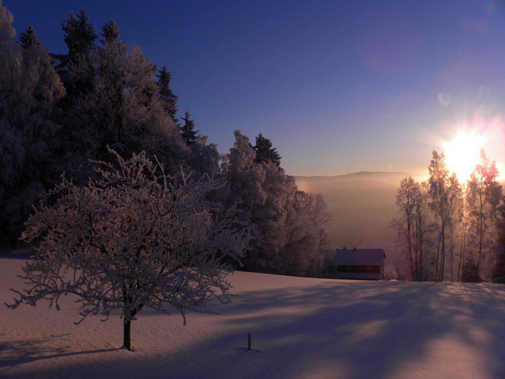Na Zvonici Guest House Paseky nad Jizerou Bagian luar foto